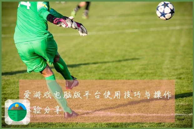 爱游戏电脑版平台使用技巧与操作体验分享