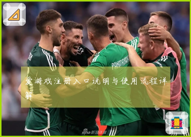 爱游戏注册入口说明与使用流程详解