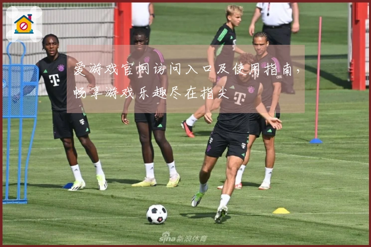 爱游戏官网访问入口及使用指南，畅享游戏乐趣尽在指尖