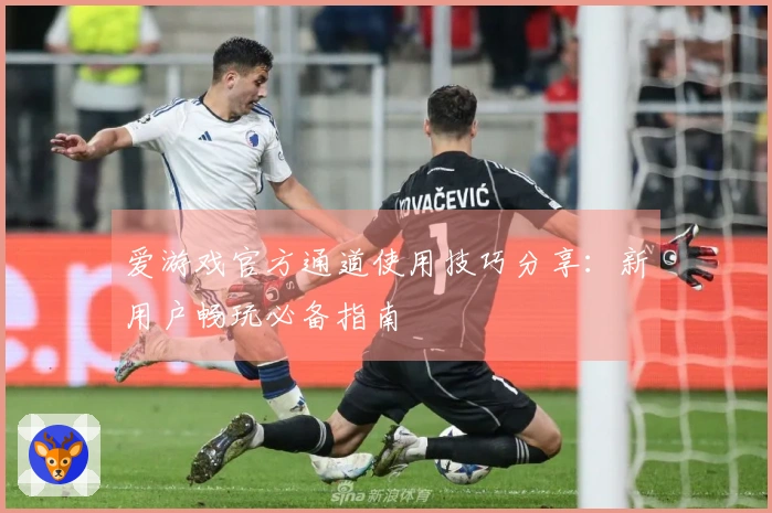 爱游戏官方通道使用技巧分享：新用户畅玩必备指南